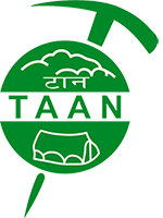 taan