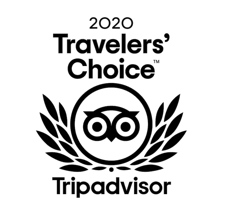 Tripadvisor 2020